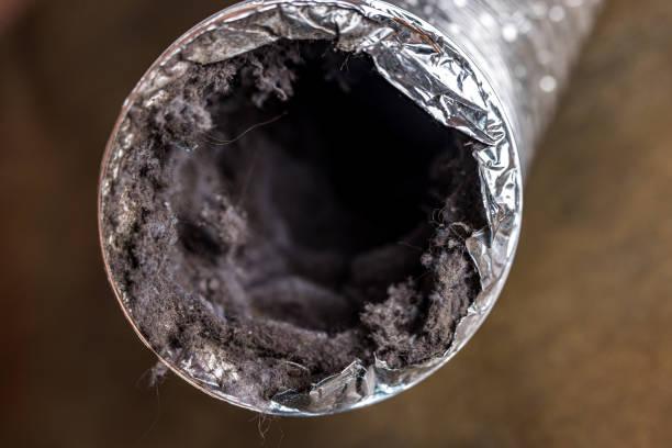 Best HVAC Maintenance and Cleaning  in North Ridgeville, OH